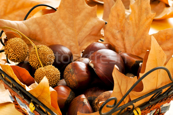 chestnuts and autumn leaves Stock photo © nito