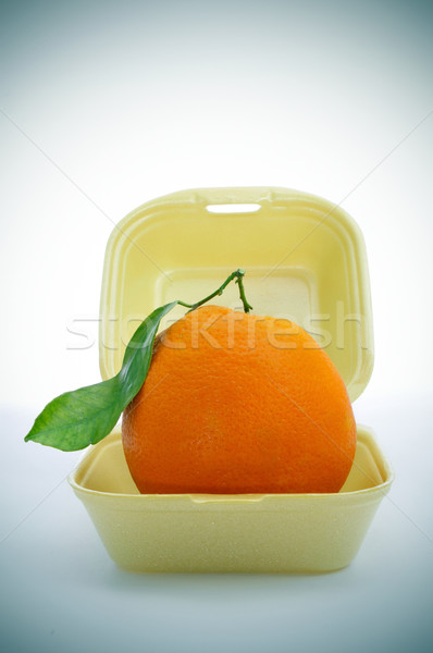 Rápido fruto laranja espuma comida recipiente Foto stock © nito