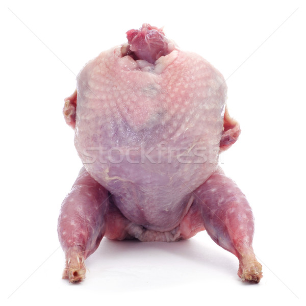 plucked quail Stock photo © nito