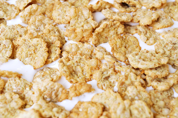 yogurt and oatmeal cereals Stock photo © nito