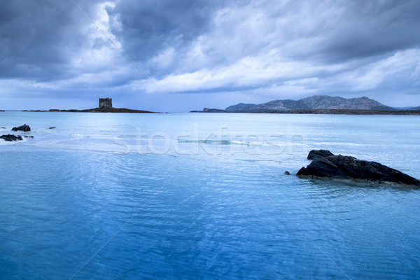 Plaj İtalya görmek kule doğa manzara Stok fotoğraf © nito