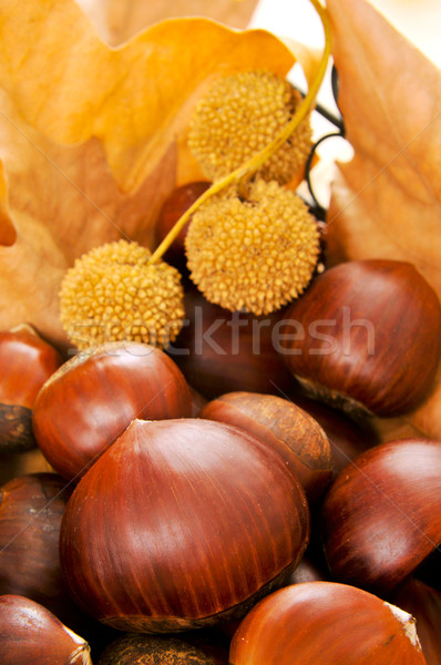 Primo piano frutta autunno mangiare dolce Foto d'archivio © nito