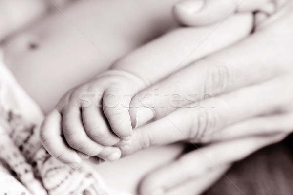 baby gripping the hand of an adult, in black and white Stock photo © nito