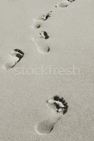 Fußabdrücke Sand Strand Sport Zeichen drucken Stock foto © nito