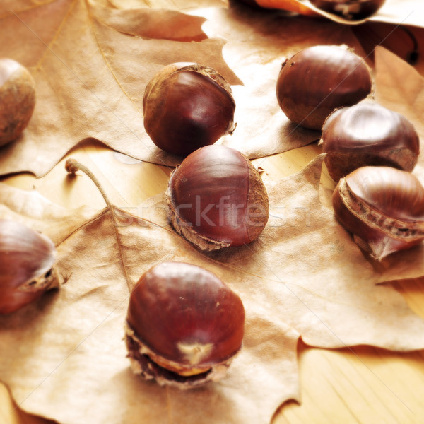 Stock photo: roasted chestnuts, typical snack in All Saints Day in Catalonia,