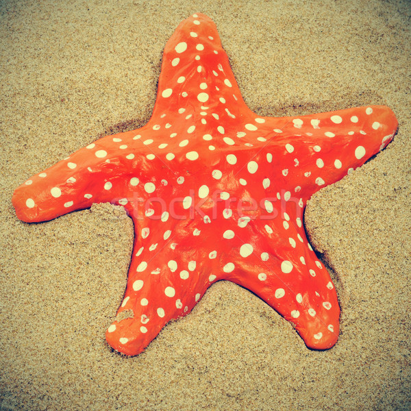 seastar on the sand of a beach Stock photo © nito