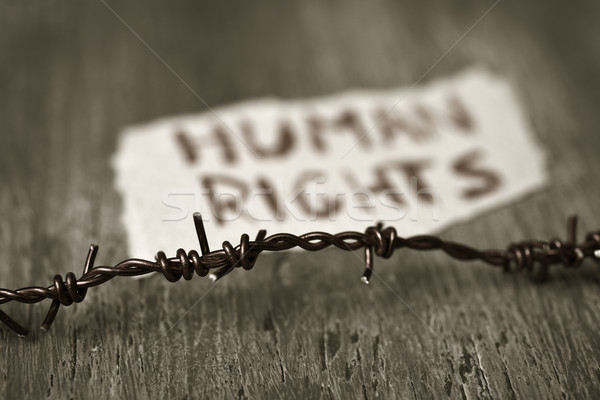 barbed wire and text human rights Stock photo © nito