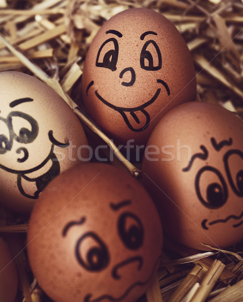 brown eggs with funny faces Stock photo © nito