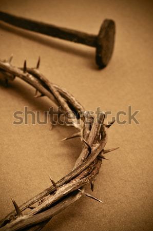 Jézus Krisztus korona szent kereszt retro Stock fotó © nito