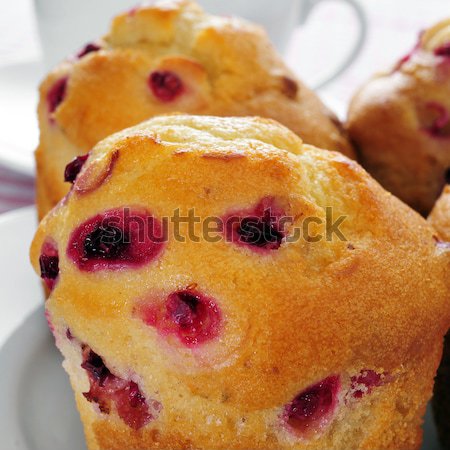 redcurrant muffins Stock photo © nito