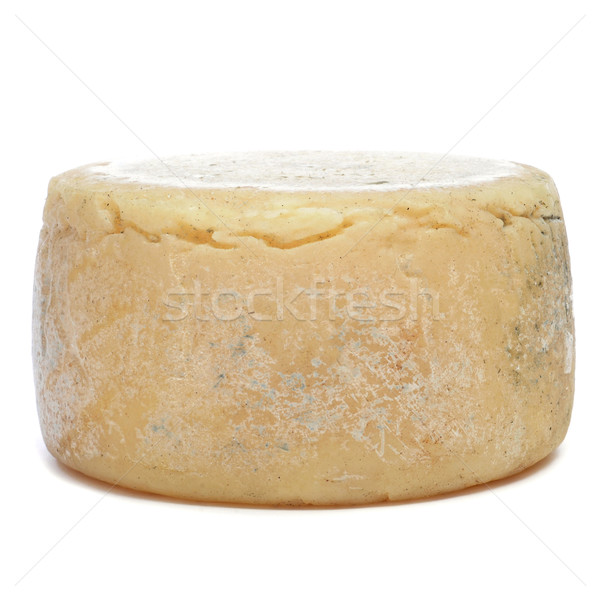 cured cheese Stock photo © nito