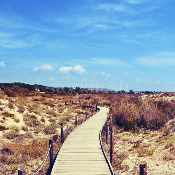 Els Muntanyans natural park in Torredembarra, Spain, with a retr Stock photo © nito
