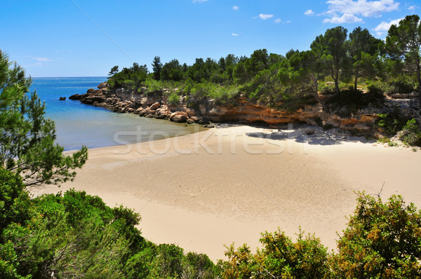 Cala Calafato beach in Ametlla de Mar, Spain Stock photo © nito