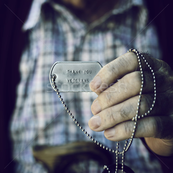text thank you veterans in a dog tag Stock photo © nito