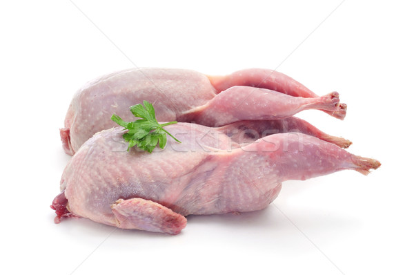 Bereit Kochen weiß Hintergrund Küche Vogel Stock foto © nito