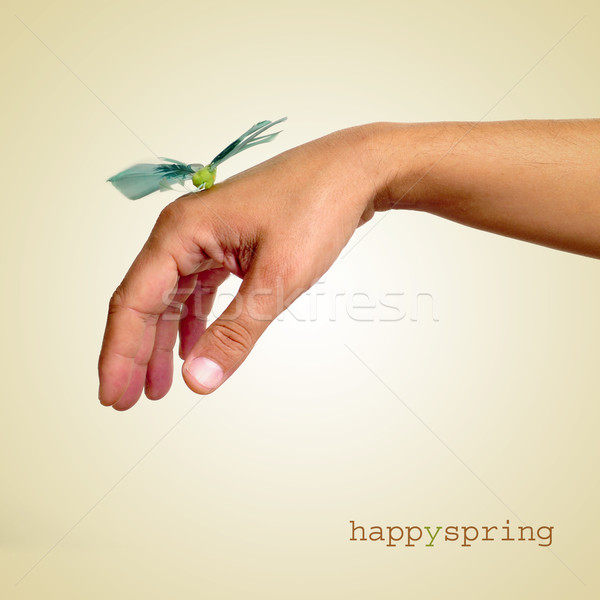 happy spring Stock photo © nito