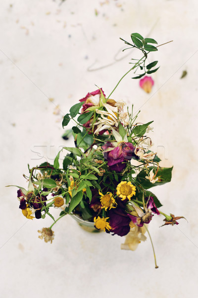wilted flowers Stock photo © nito