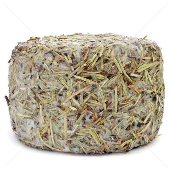 handmade rosemary-coated cheese from Spain Stock photo © nito