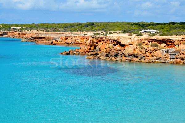 Cala Saona coast in Formentera, Balearic Islands, Spain Stock photo © nito