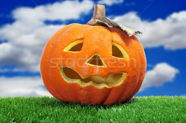 Halloween jack-o-lantern Stock photo © nito