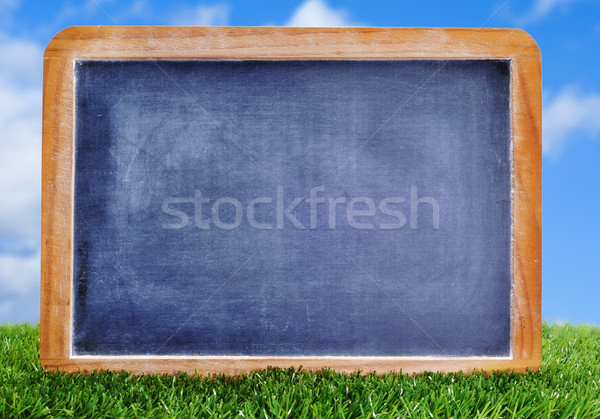 blank blackboard on the grass Stock photo © nito