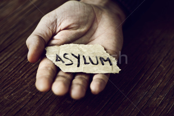 piece of paper with the word asylum Stock photo © nito