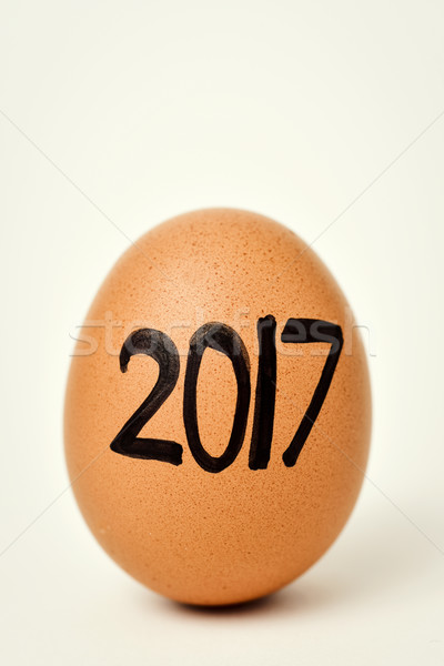 egg with the number 2017, as the new year Stock photo © nito
