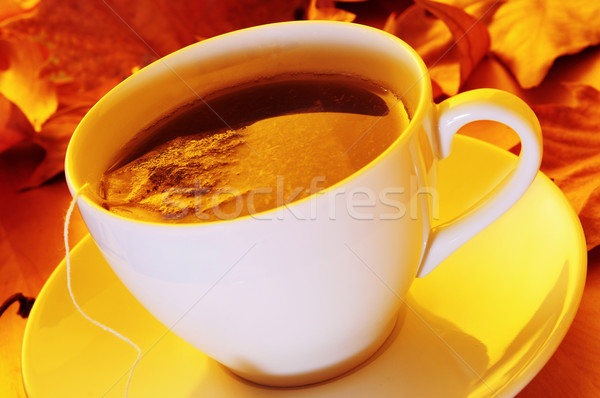 cup of tea Stock photo © nito