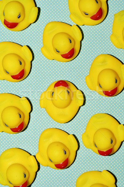 rubber ducks on a dot-patterned background Stock photo © nito