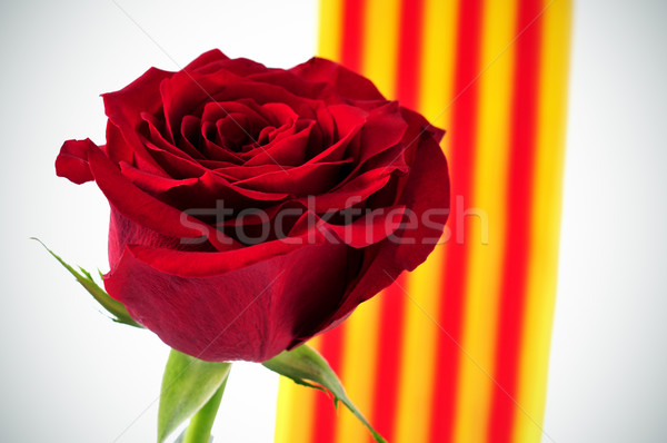 red rose and Catalan flag for Saint Georges Day Stock photo © nito