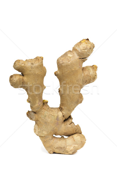 ginger root Stock photo © nito