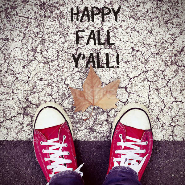 feet, dry leaf and text happy fall yall Stock photo © nito