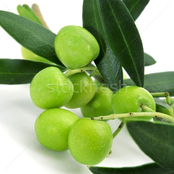 olives Stock photo © nito