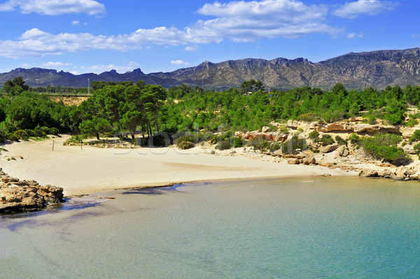 Cala Forn beach in Ametlla de Mar, Spain Stock photo © nito