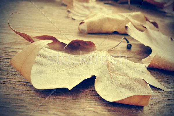 autumn leaves on a wooden background with a retro effect Stock photo © nito