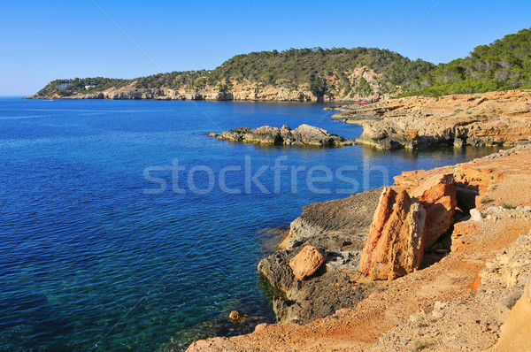 northeastern coast of Ibiza Island, Spain Stock photo © nito