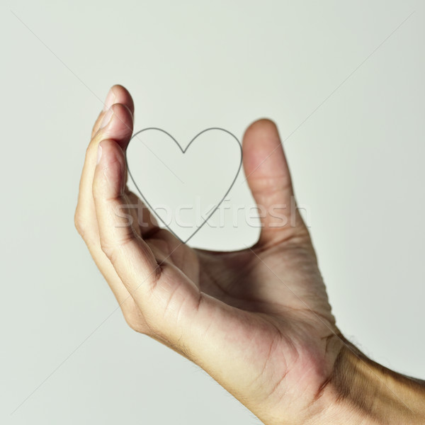 heart in the hand of a man Stock photo © nito