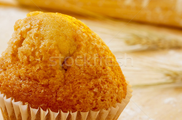 magdalena, typical spanish plain muffin Stock photo © nito