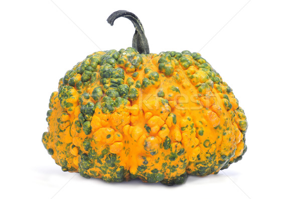 pumpkin Stock photo © nito