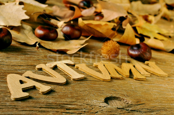 autumn Stock photo © nito