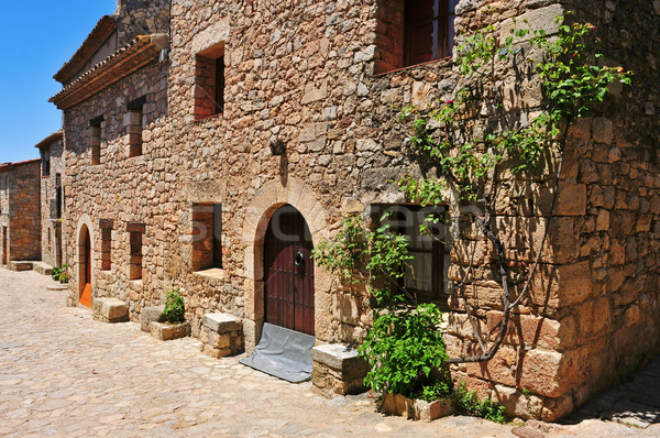 Siurana, an ancient village on the top of a peak in Tarragona, S Stock photo © nito