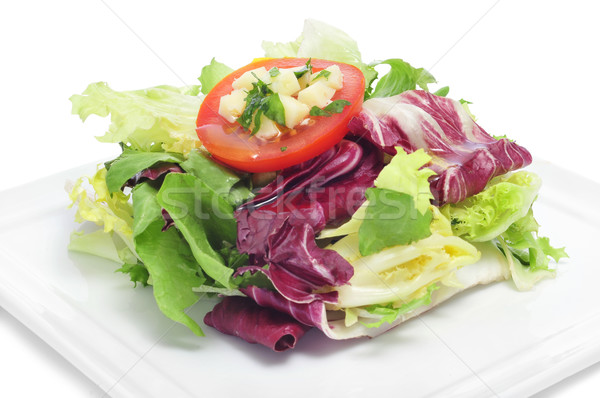 green salad Stock photo © nito