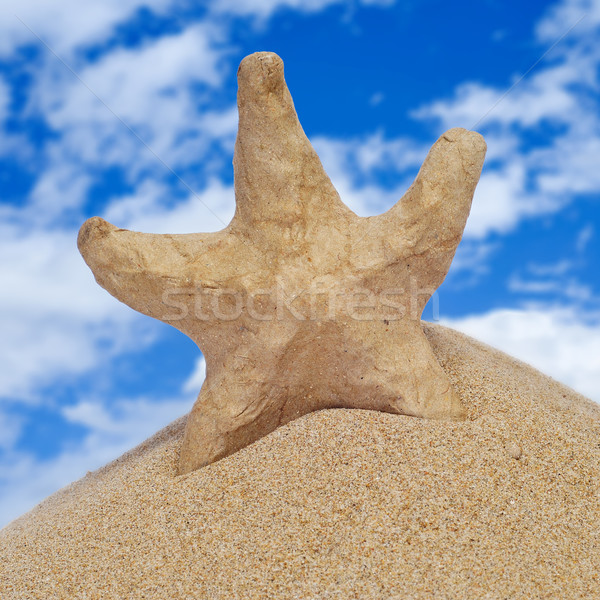paper-mache seastar on the sand Stock photo © nito