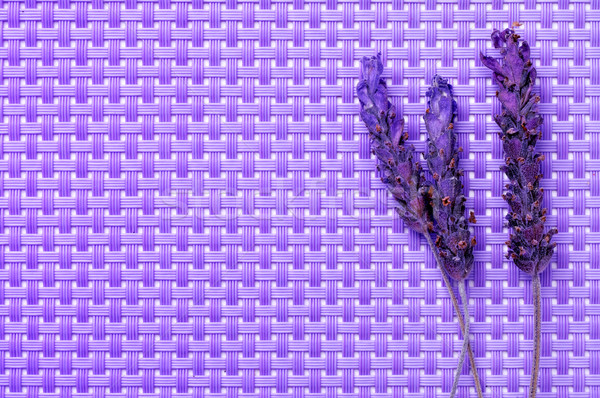 Levendula virágok lila orvosi kert egészség Stock fotó © nito
