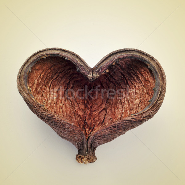 heart-shaped nut shell Stock photo © nito