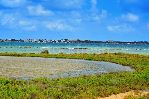 Espagne vue naturelles parc ciel [[stock_photo]] © nito