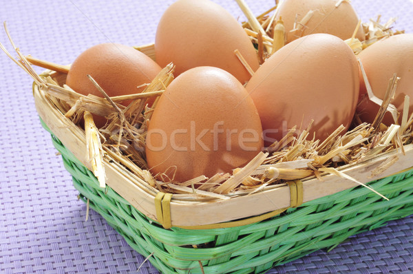 brown eggs in a basket Stock photo © nito