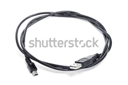 USB - Micro USB cable Stock photo © nito