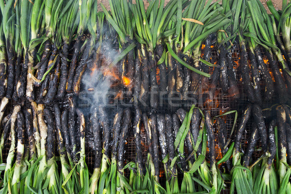barbecuing calcots, onions typical of Catalonia
 Stock photo © nito