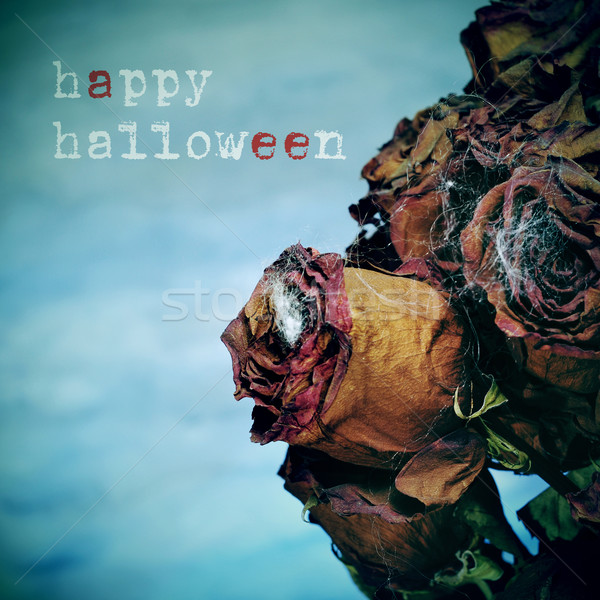 happy halloween Stock photo © nito